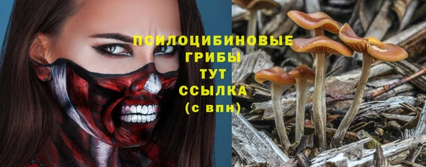 сатива Верея