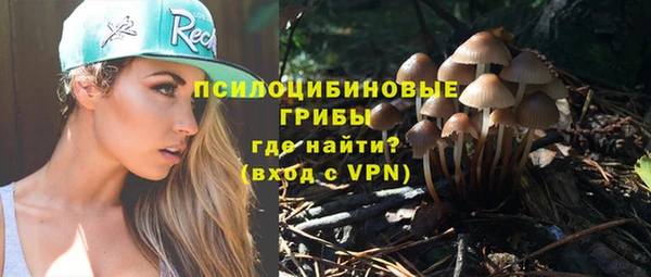 сатива Верея