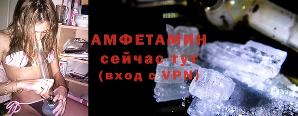 сатива Верея